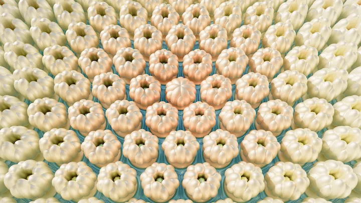 Agave Mezcal 04