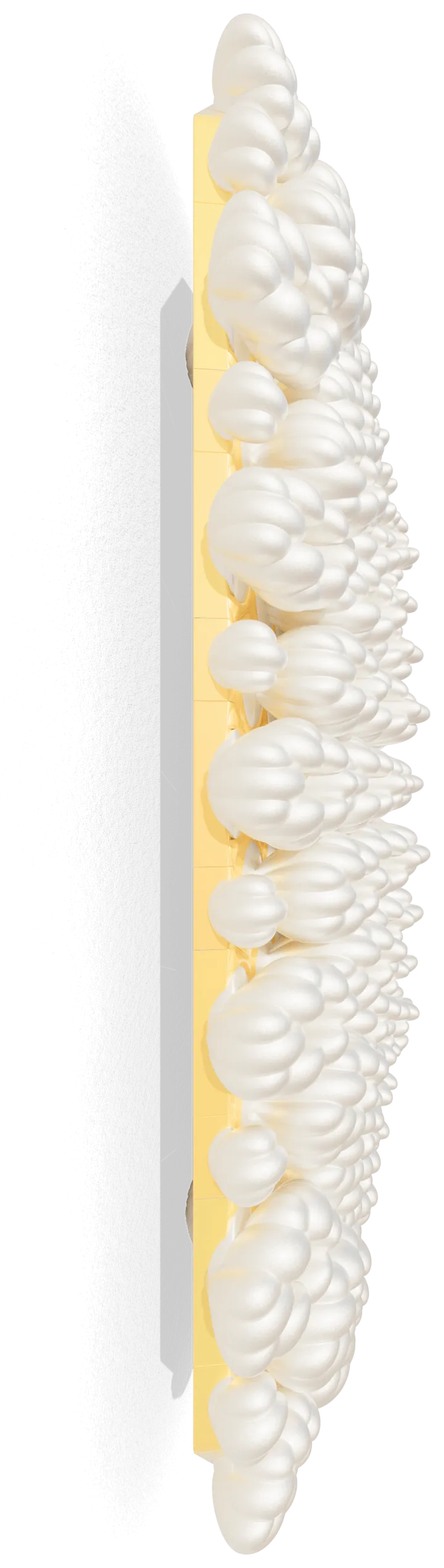 Azahar Citrus Sinensis 08